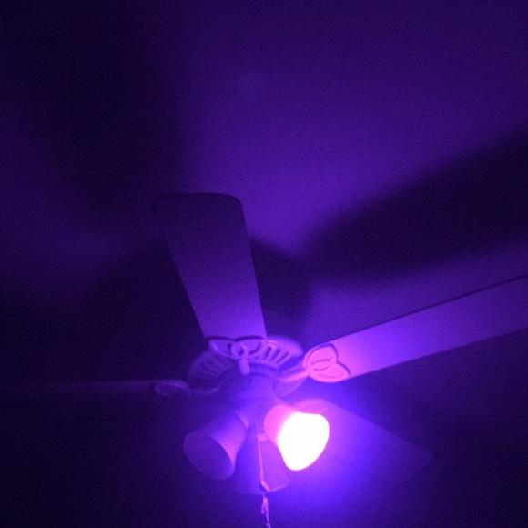 Meet your Posher, Taylor - Picture 1 of 1